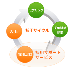 採用サイクル